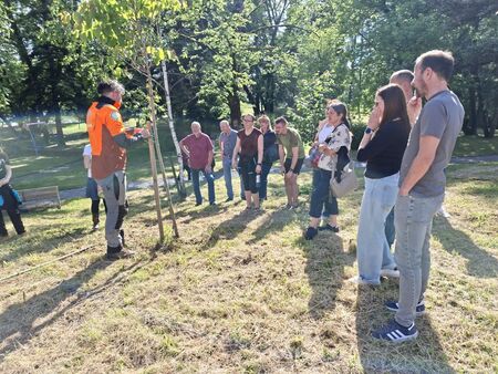 Dobimo se v Kindlerjevem parku (27)_vrvica med deblom in oporo se ne sme zažirati v deblo